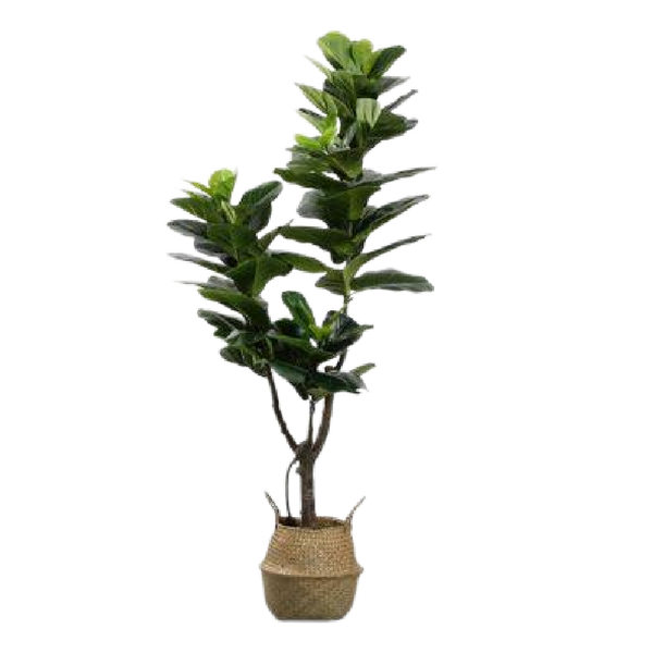 Artificial Plants